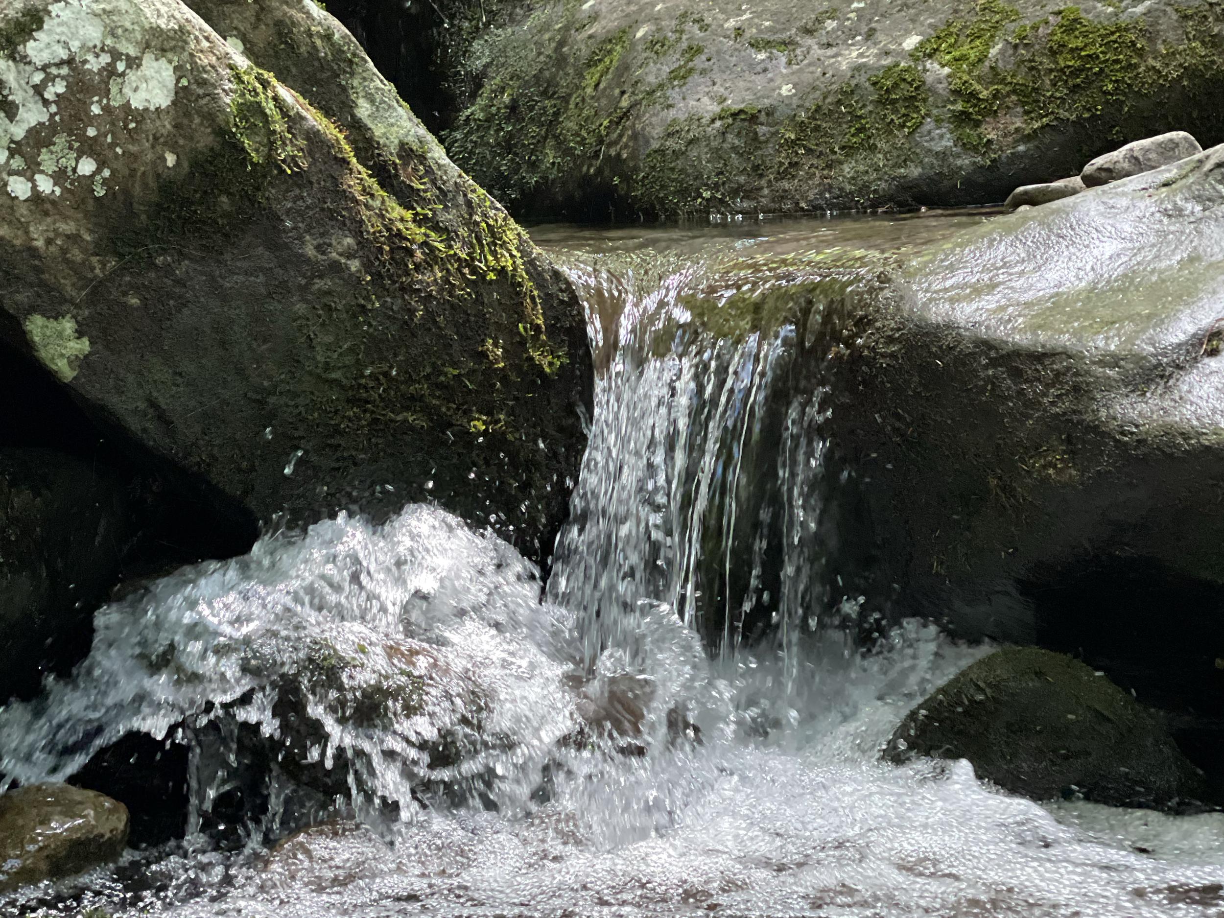 The Wedding Website of Melanie Madden and Sean Parish