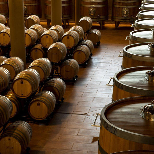 Italy Honeymoon Wine & Olive Oil Tasting for Two
