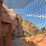 Omaha's Henry Doorly Zoo & Aquarium
