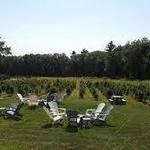 Leyden Farm Vineyard & Winery