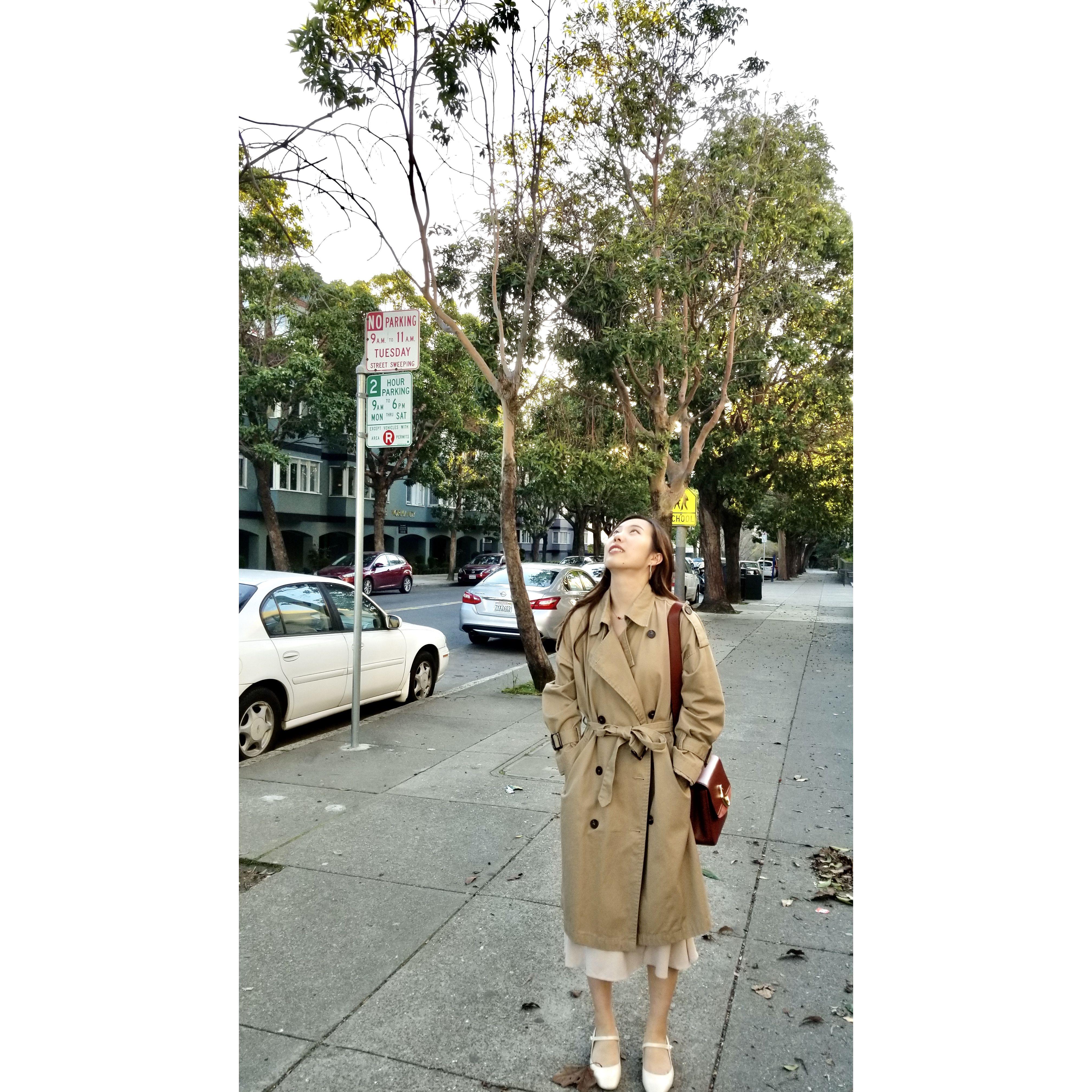 2020年二月 超级碗之前的下午 疫情前最后的安宁