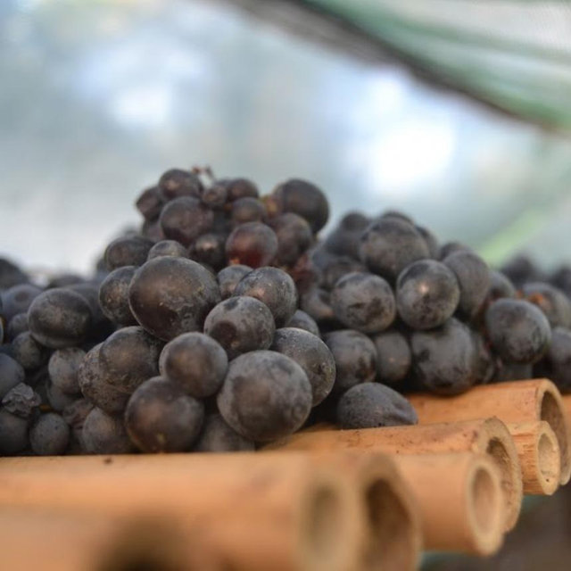 Vineyard Tour & Lunch for 2