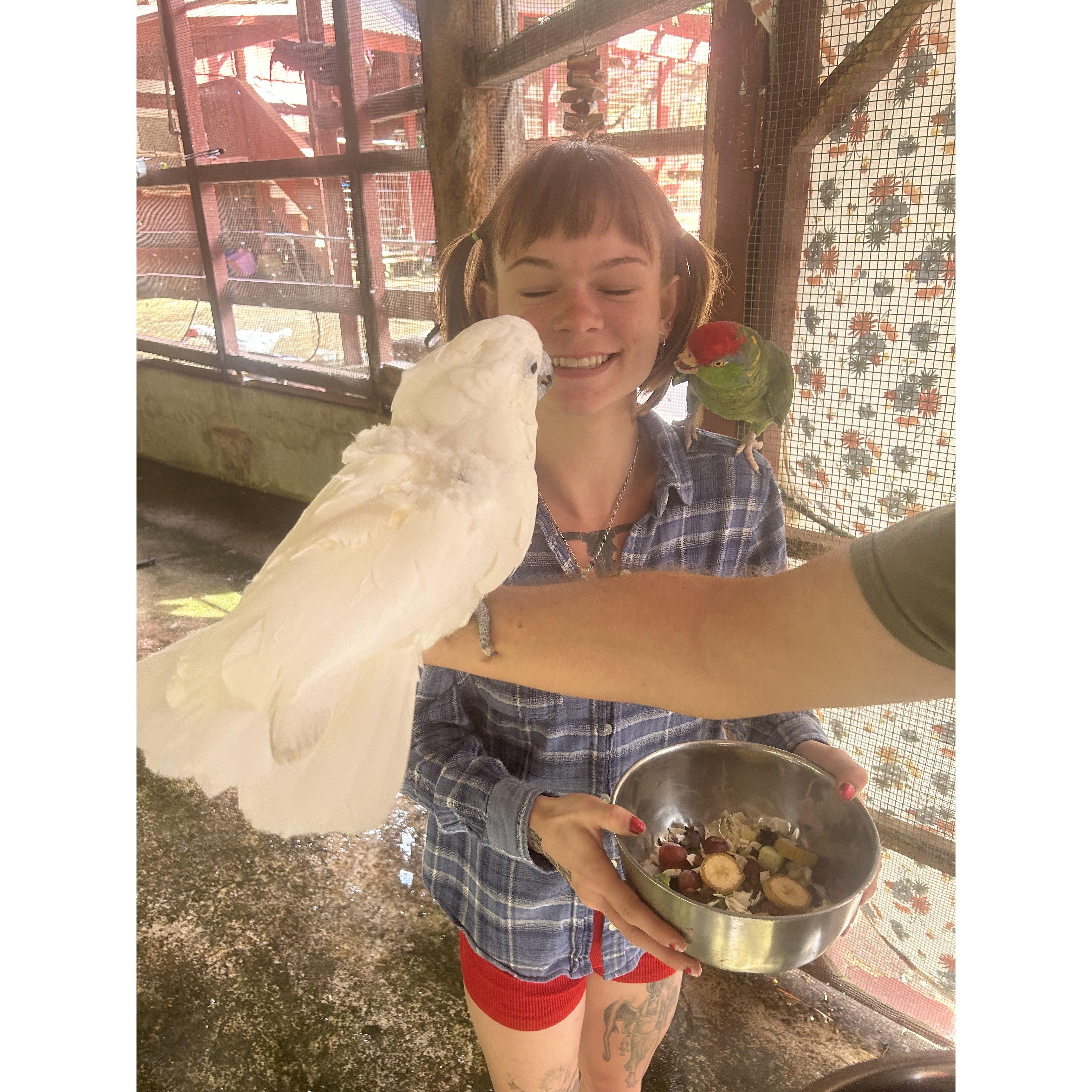 Bird time at Boo-Boo Zoo.