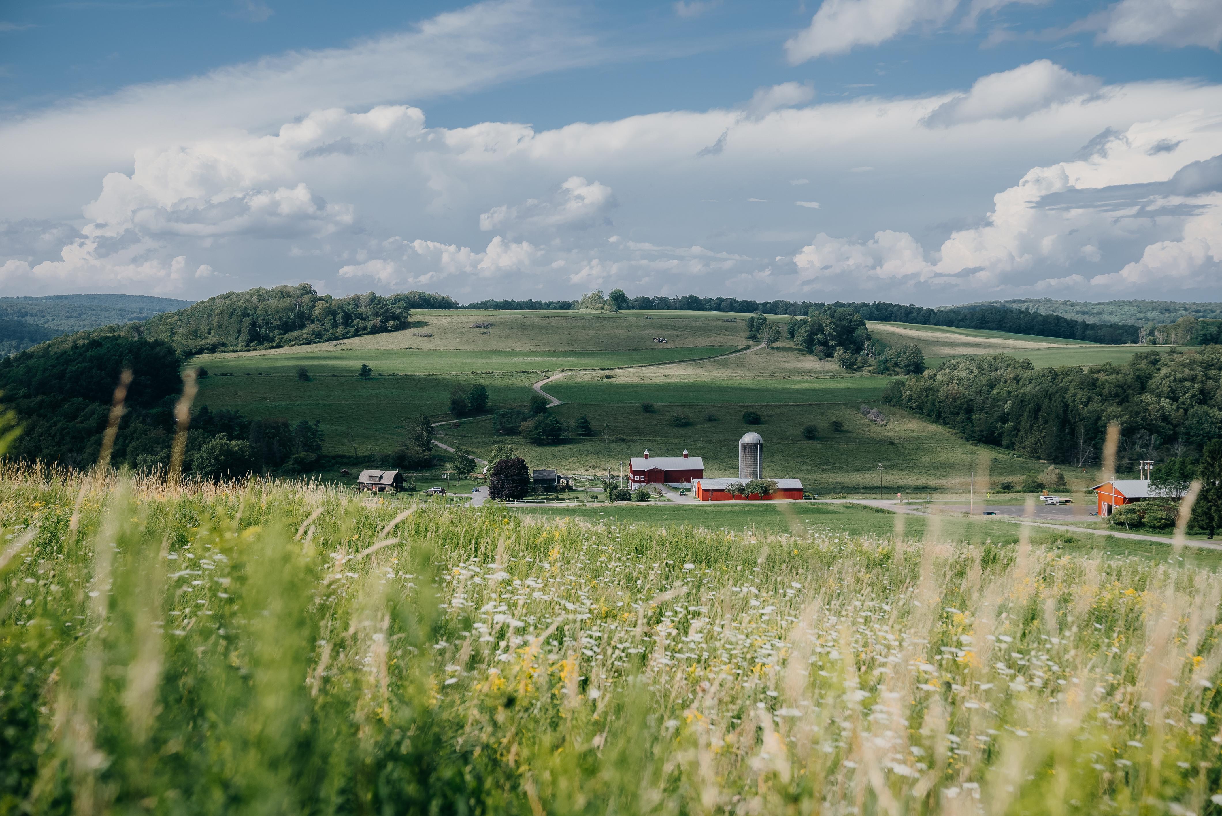 The Wedding Website of Jennifer Borkowski and Alexander Murphy