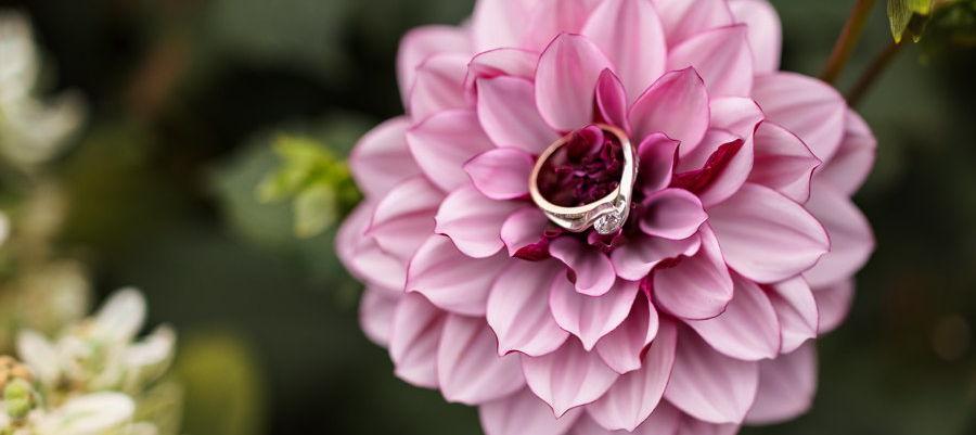 The Wedding Website of Russell Shutt and Hannah Holman