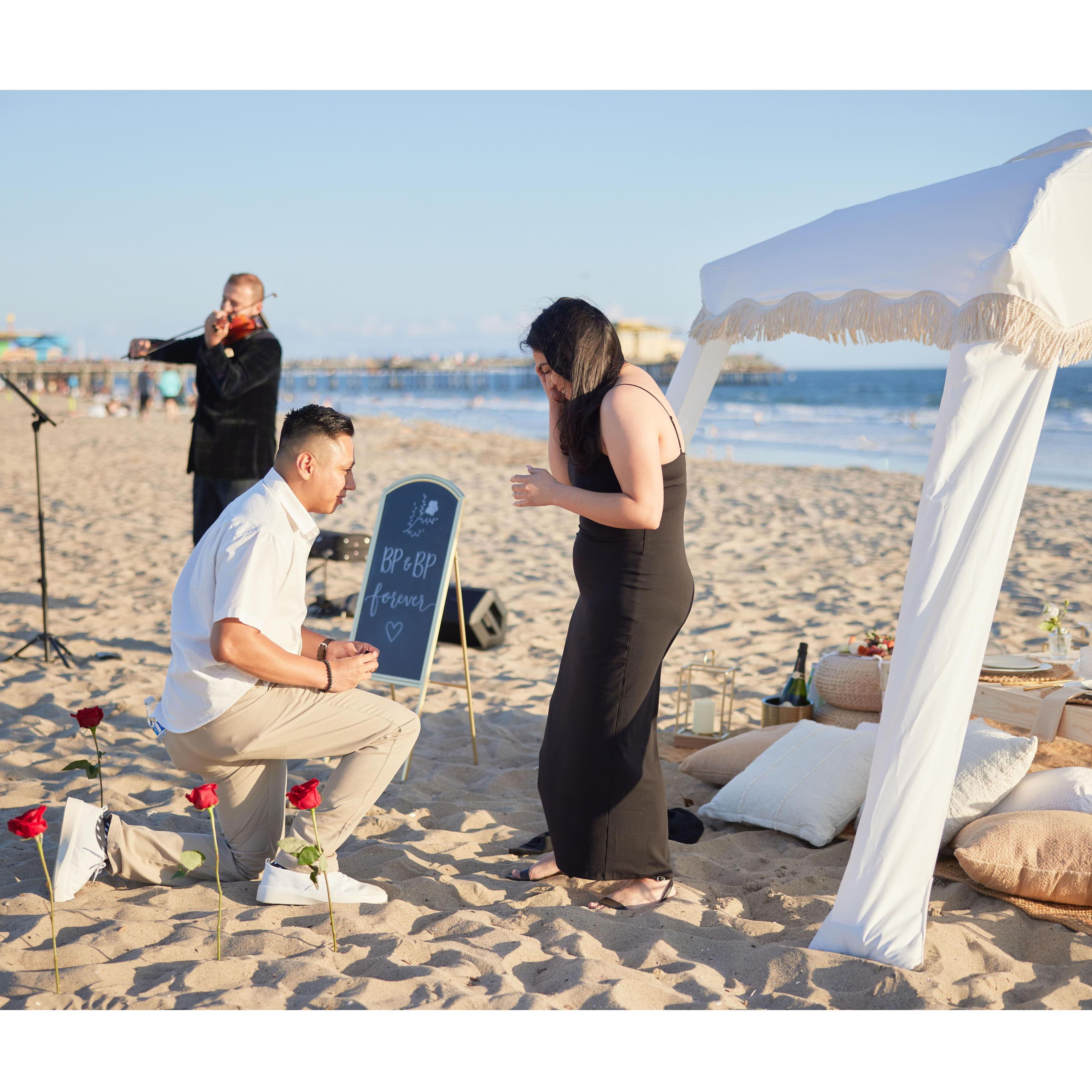 Jocelyne completely freaking out! What was once a thought had now become a reality!