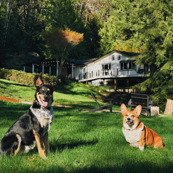 House Projects & Furnishings Fund