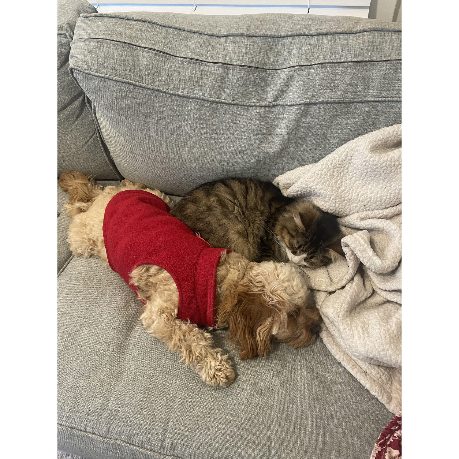 Rare occurrence of the babies cuddling together .