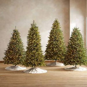 Christmas tree fund