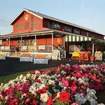 SEE: Al's Family Farms Citrus