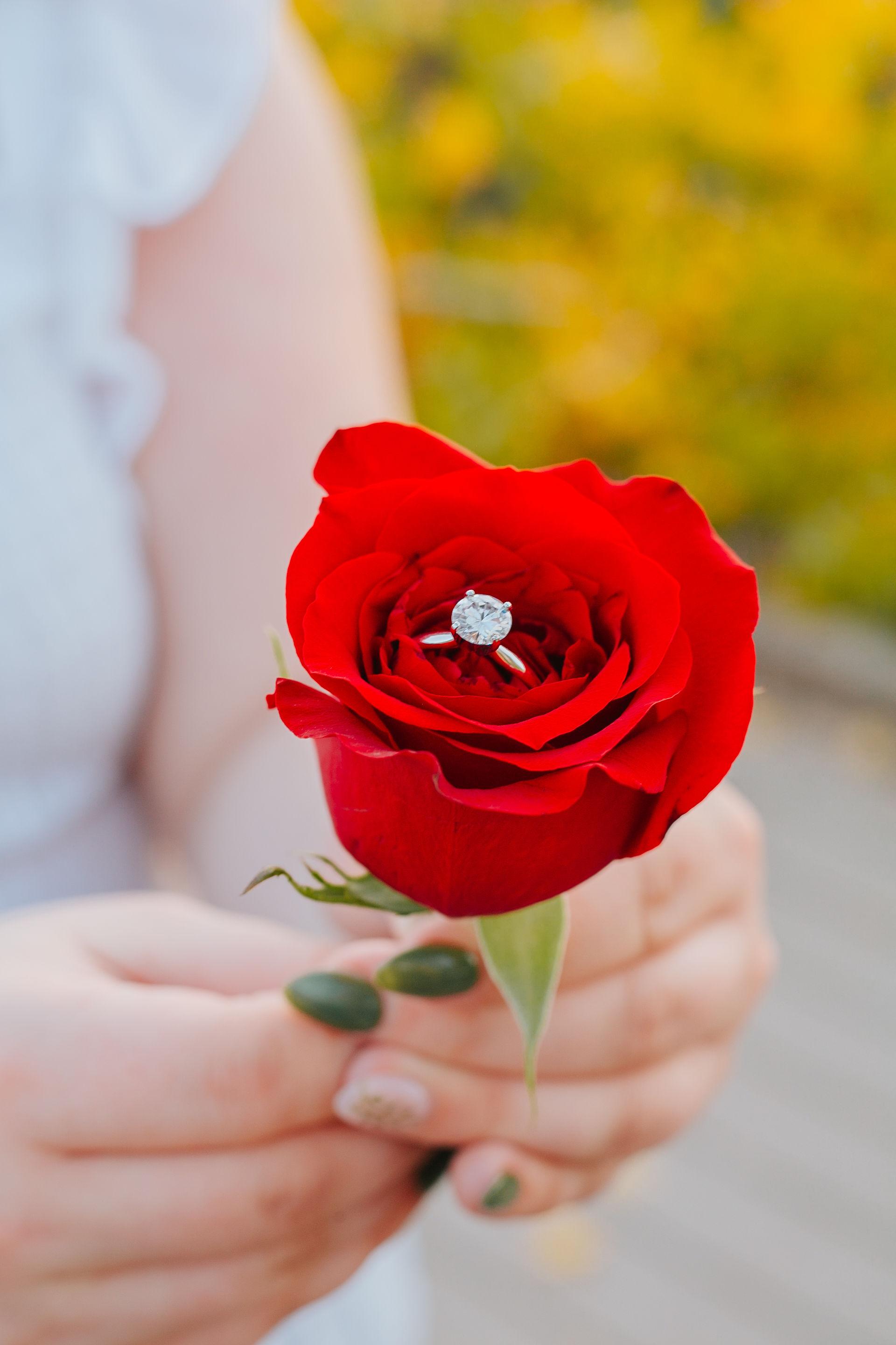 The Wedding Website of Kayla Jagger and Fenix Dietz