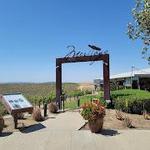 Callaway Vineyard & Winery
