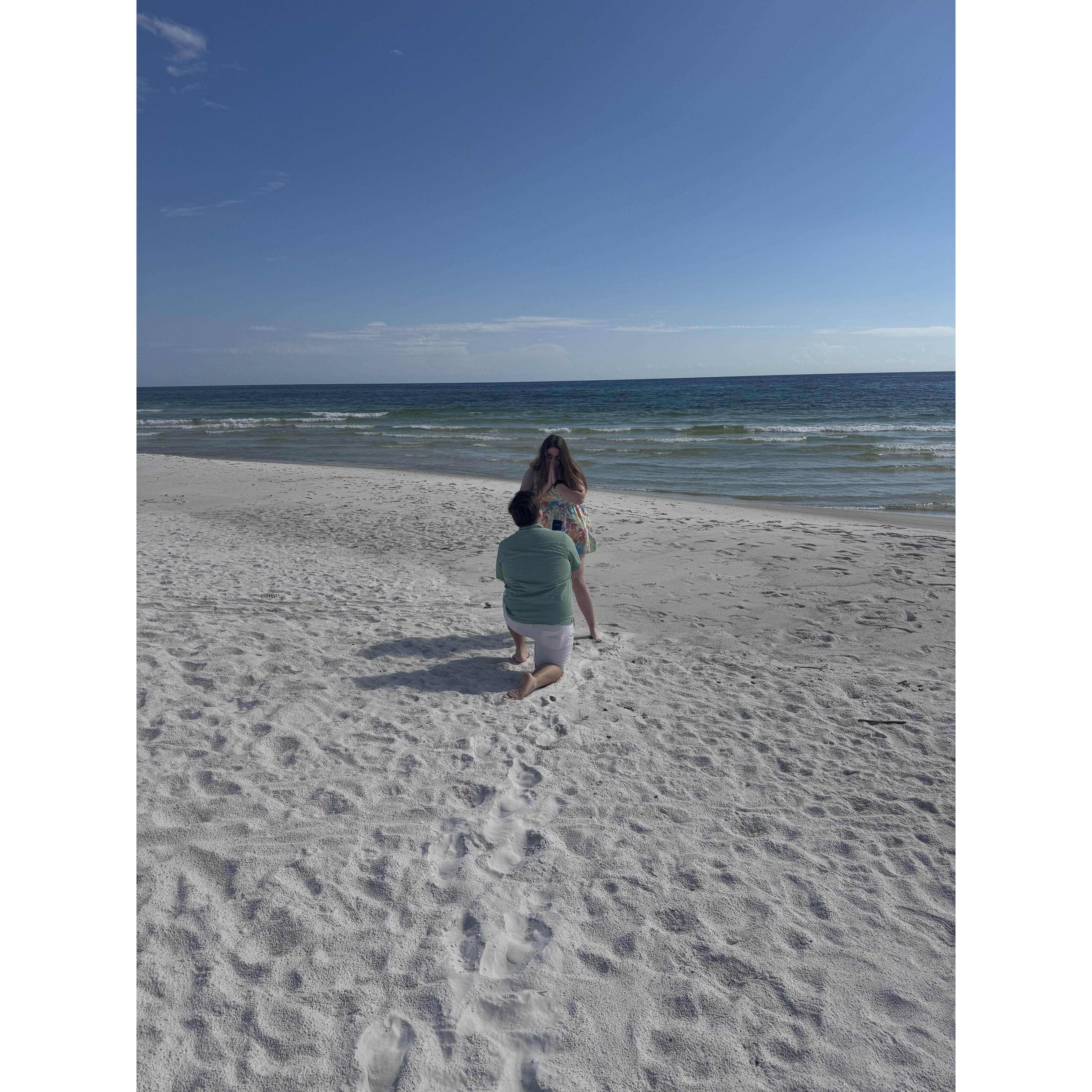 Josh popped the question on September 24th, 2024 in Florida. We immediately had to evacuate since a hurricane was coming!