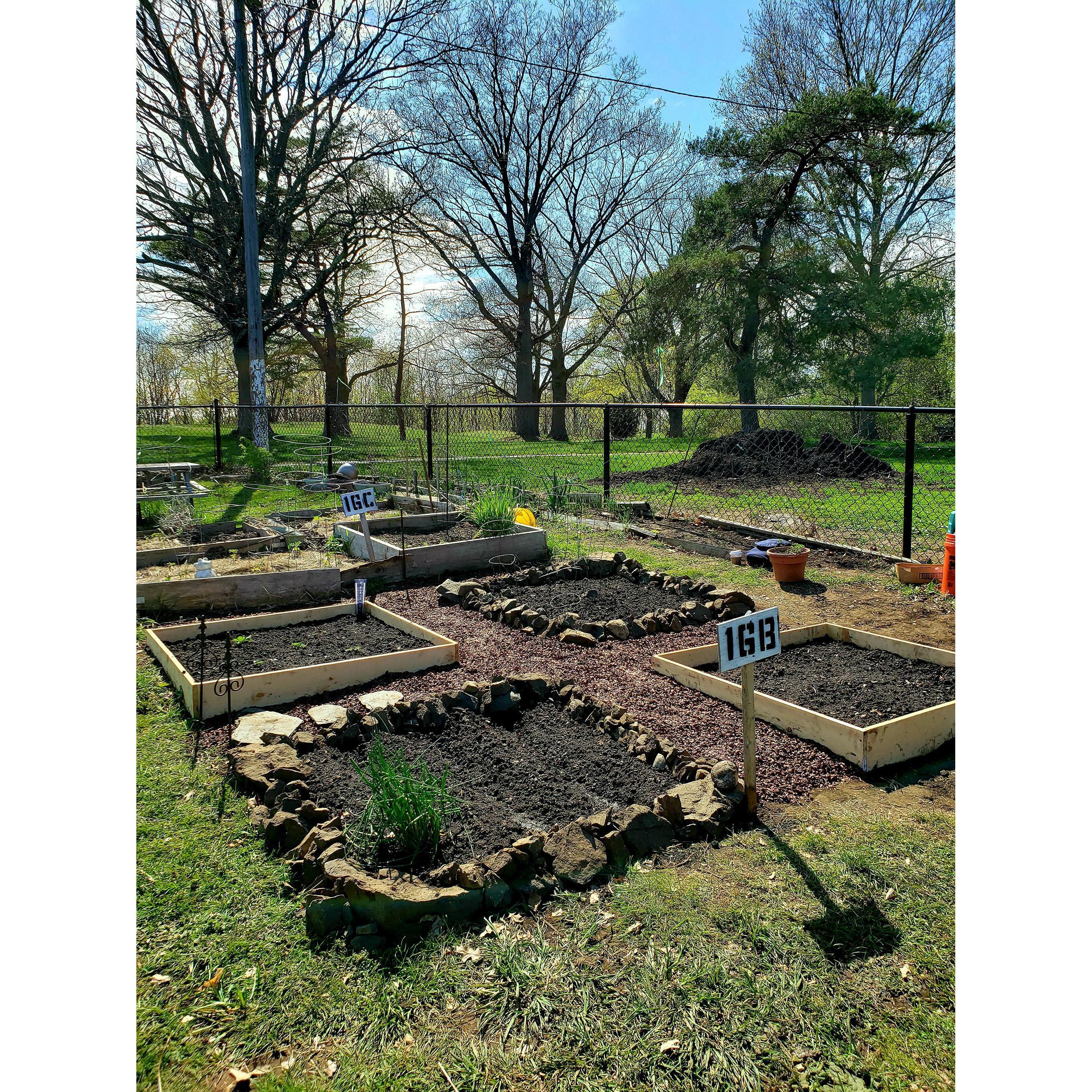 Our community garden plot 16B
