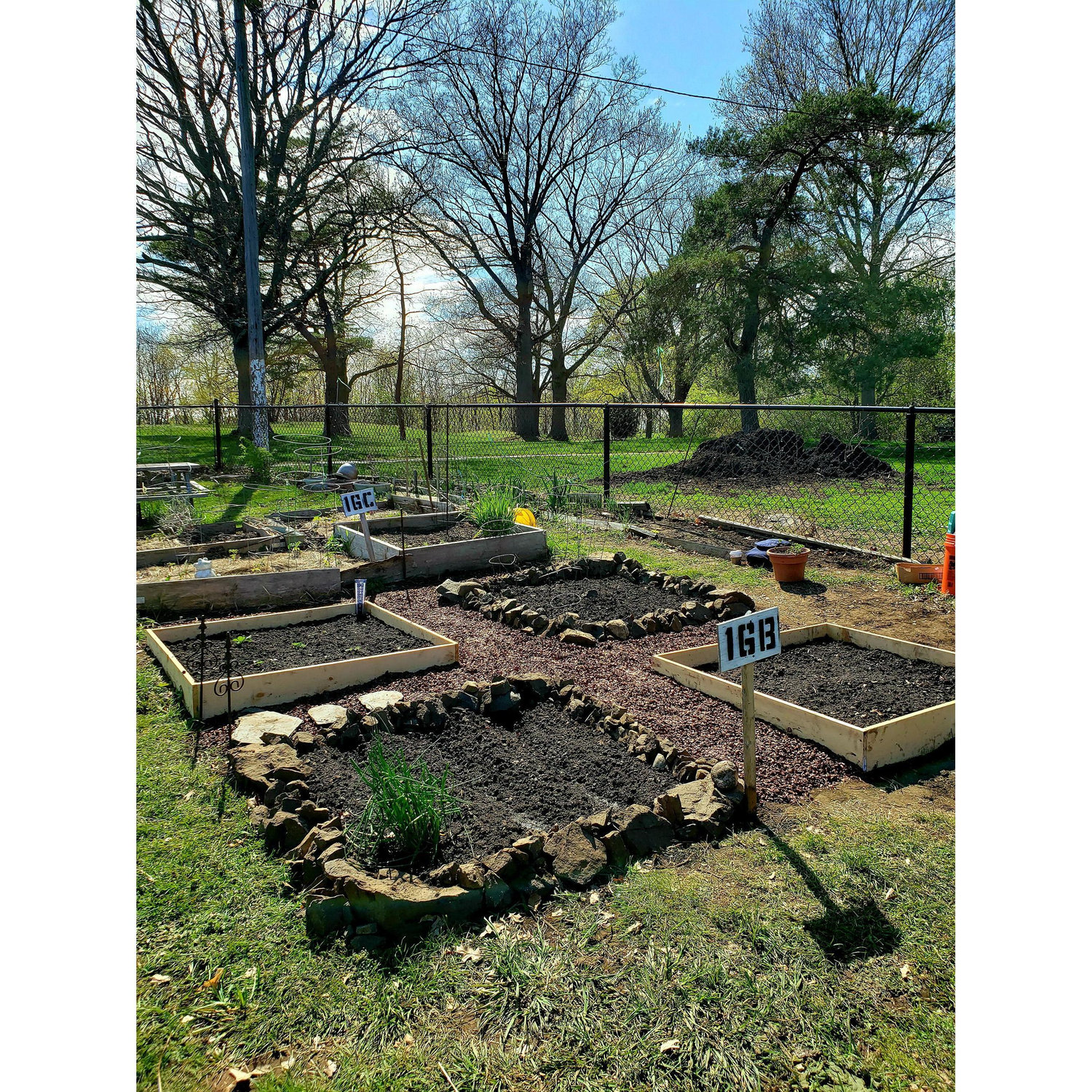 Our community garden plot 16B