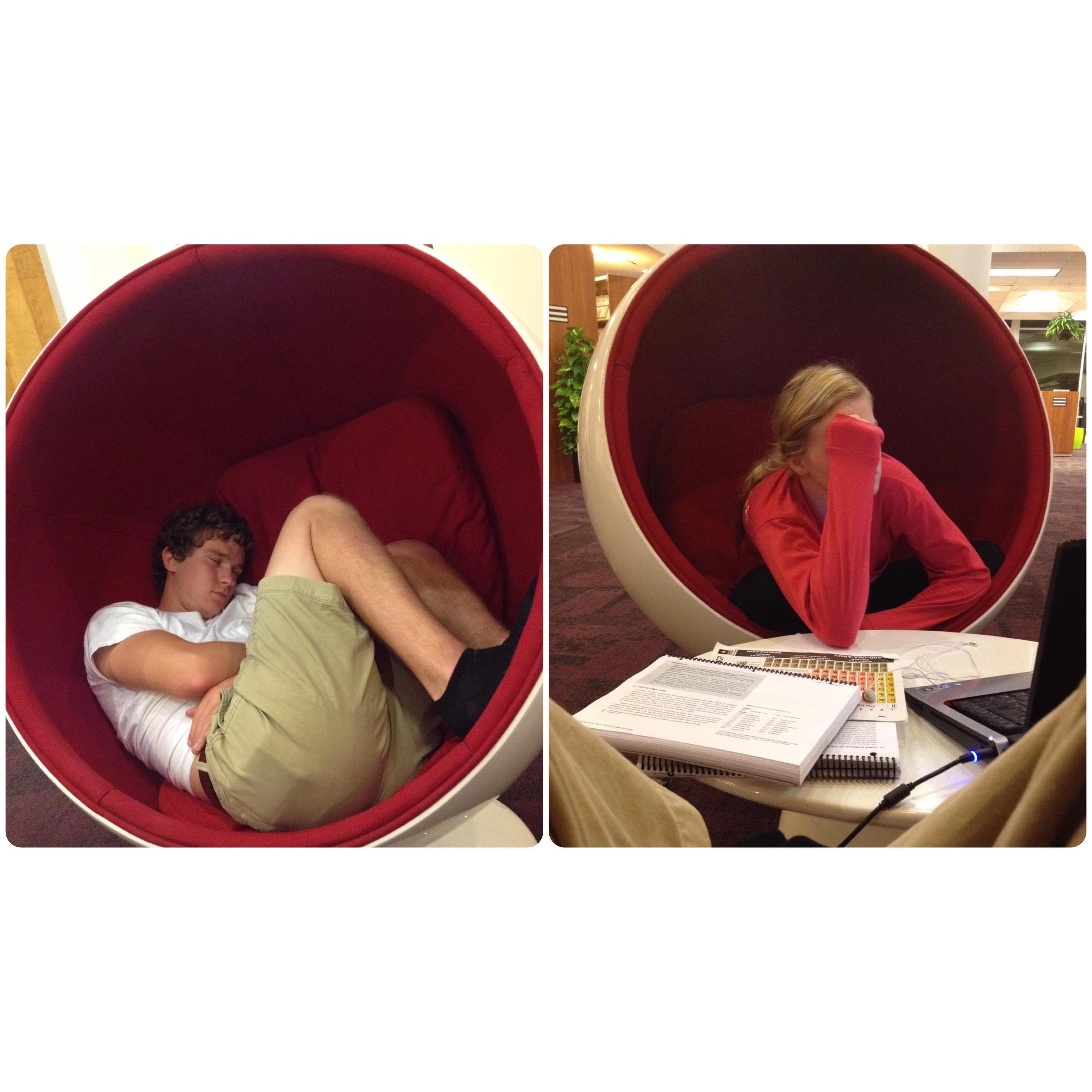 Studying hard at the NC State library
~ October 2013