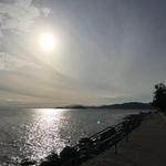 Davis Bay Beach