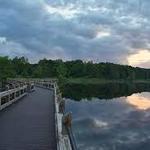 Pickerel Lake