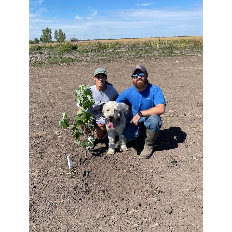 They bought land and planted their first trees.....