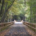 Ashokan Rail Trail