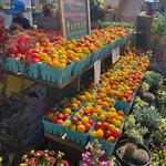 Norwich Farmers' Market