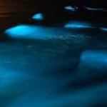 Luminous Lagoon Glistening Waters