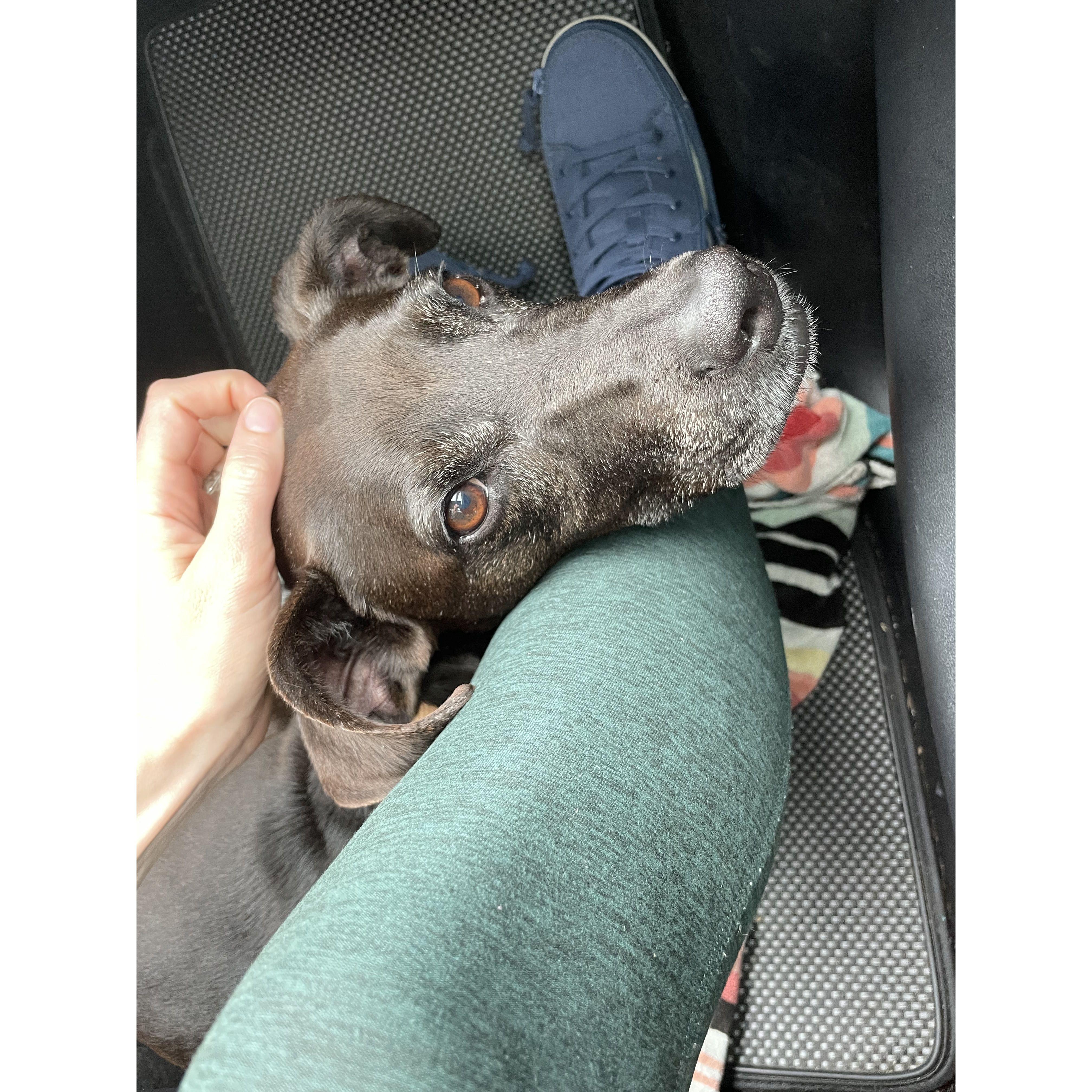 romie road trips