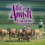 Amish Experience