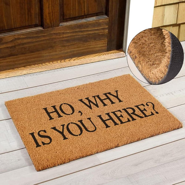 FAGGMY Funny Coir Doormat Ho Why is You Here Entryway Outdoor Floor Door Mat with Heavy Duty Front Porch Welcome Mats Natural Coconut Brown Mat 23.6 x 15.7 inch