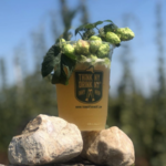 Climbing Bines Hop Farm & Brewery