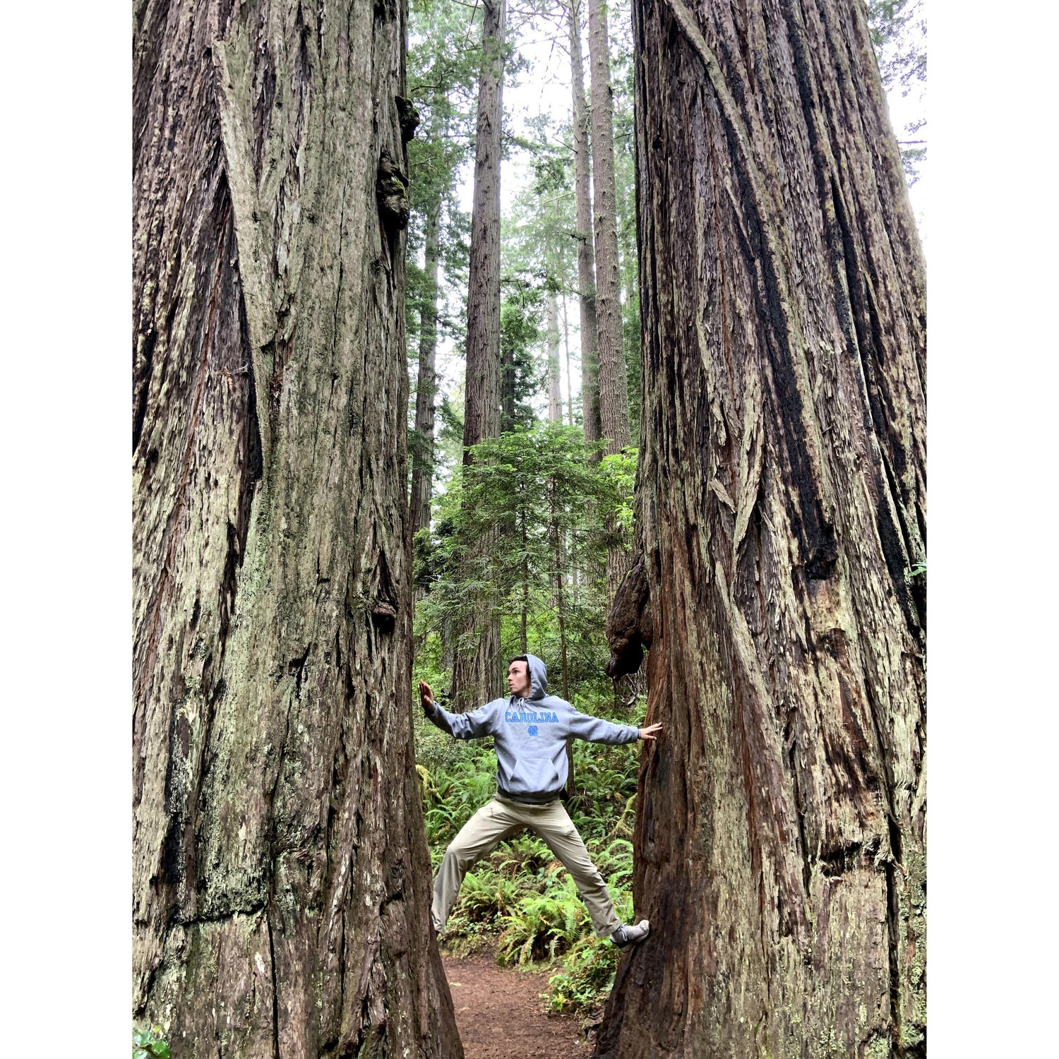 Amazing Redwood National and State Parks. We stopped here while coming back down from Oregon in 2020.