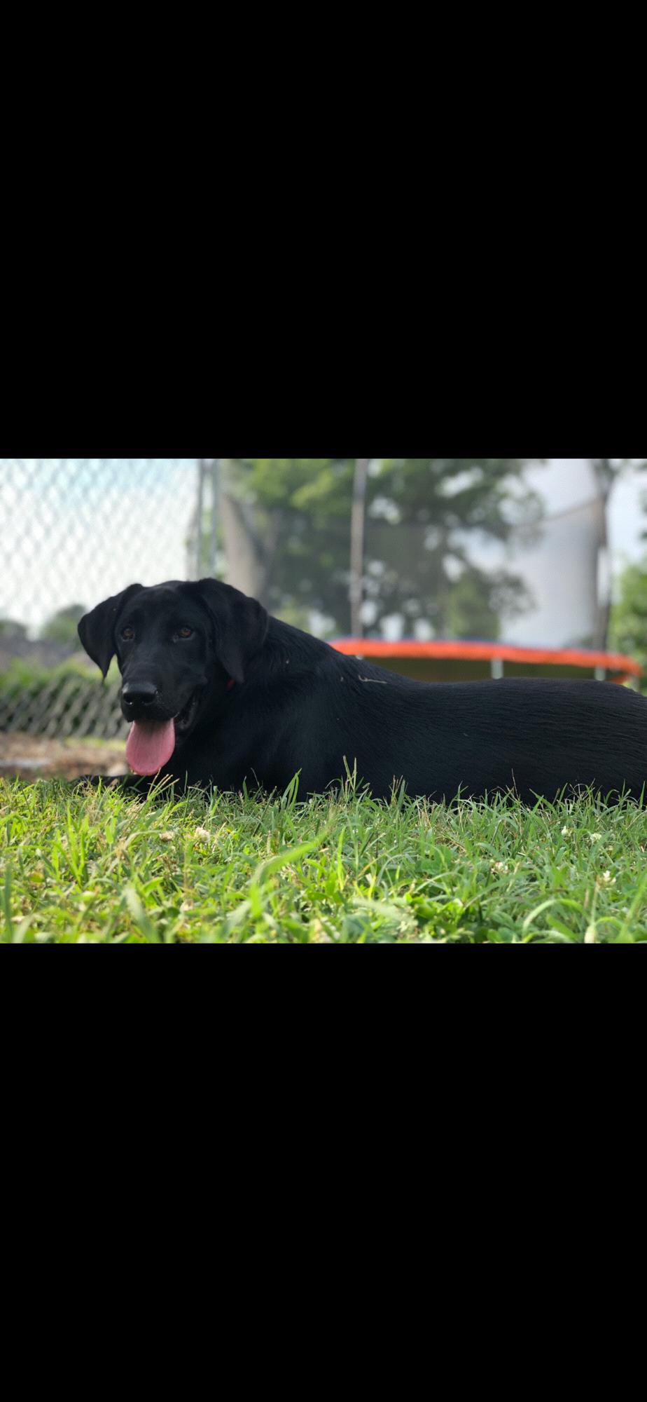 Ella Mae