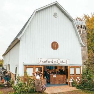Sweetland Apple Orchard Cider & Dessert Cider Tasting