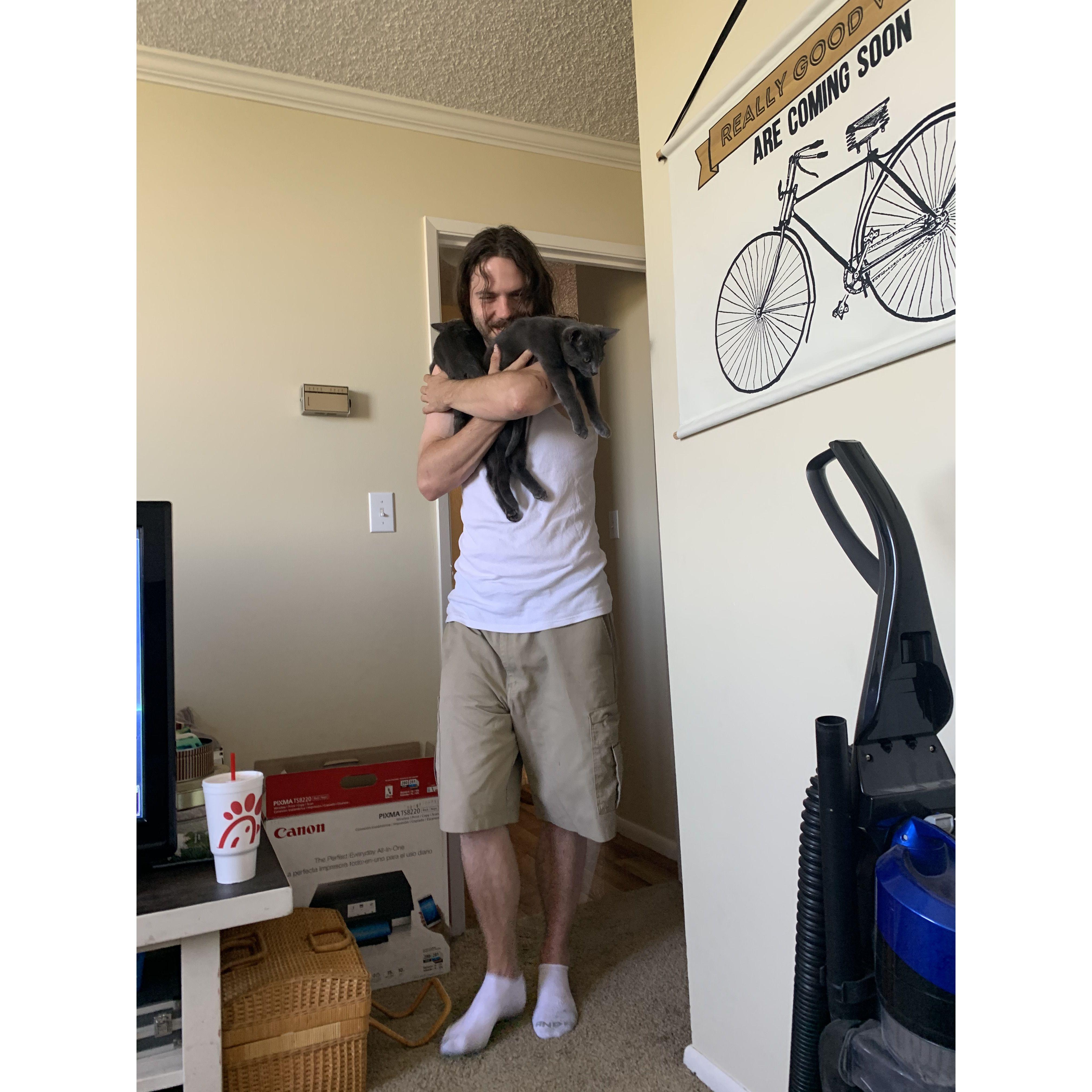 the cats are a handful. 15 August 2020.