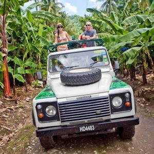 Honeymoon Rainforest Hike & Waterfall Safari