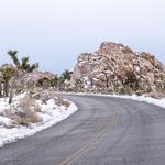 Joshua Tree National Park