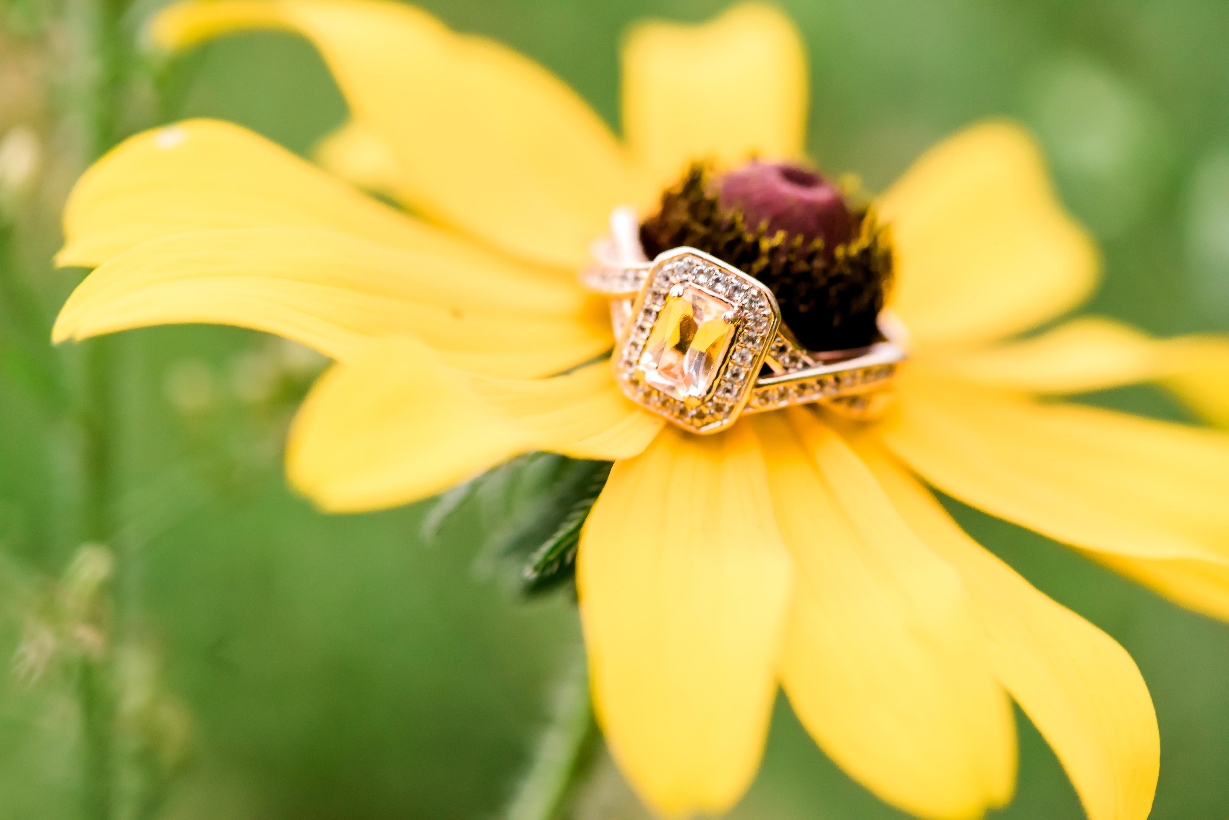 The Wedding Website of Darby Brundage and Toby Sullivan