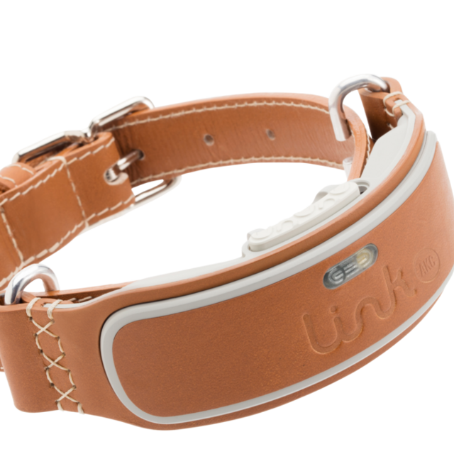 LINK AKC Smart Collar