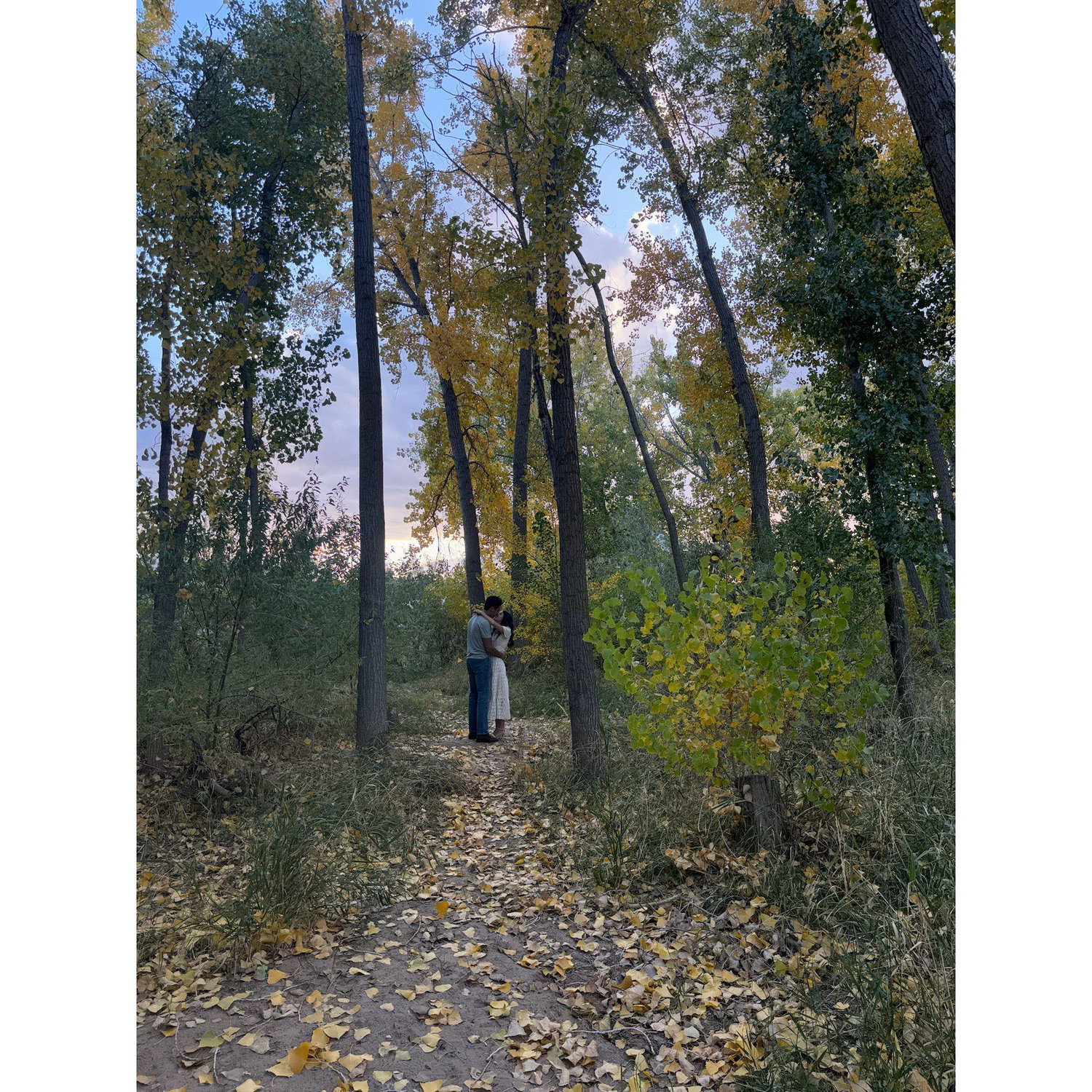 Engagement Pictures