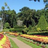 Botanical Gardens Penang