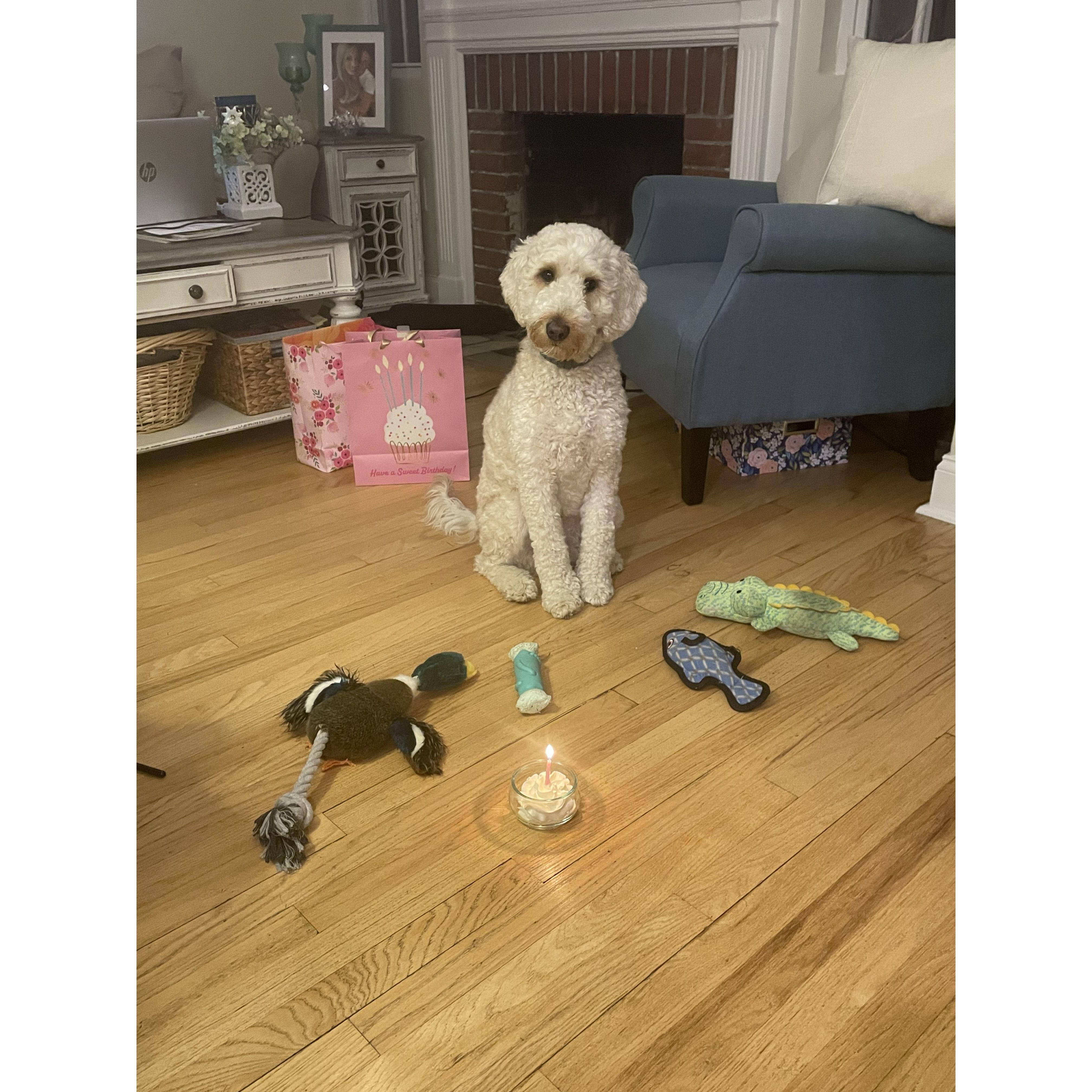 Our little Lucy's 2nd birthday