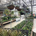 Horrocks Farm Market