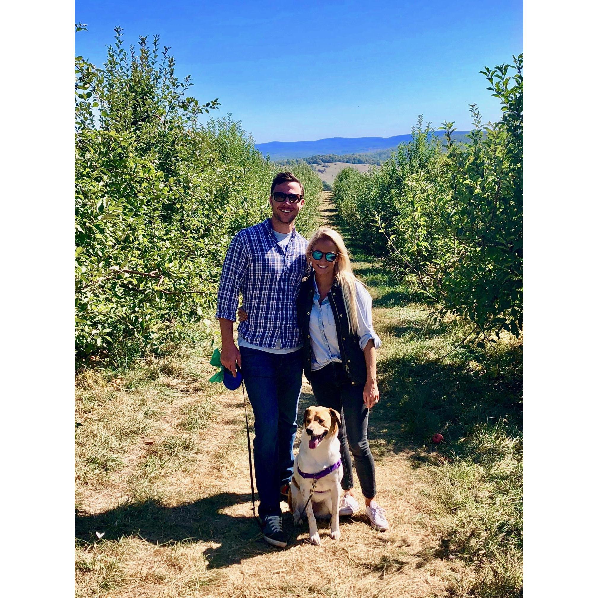 Delaplane, VA 2019