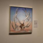 Georgia O'Keeffe Museum