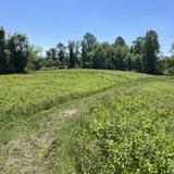 Cromwell Valley Park
