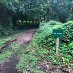 Kings Point Loop