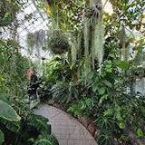 W.W. Seymour Botanical Conservatory