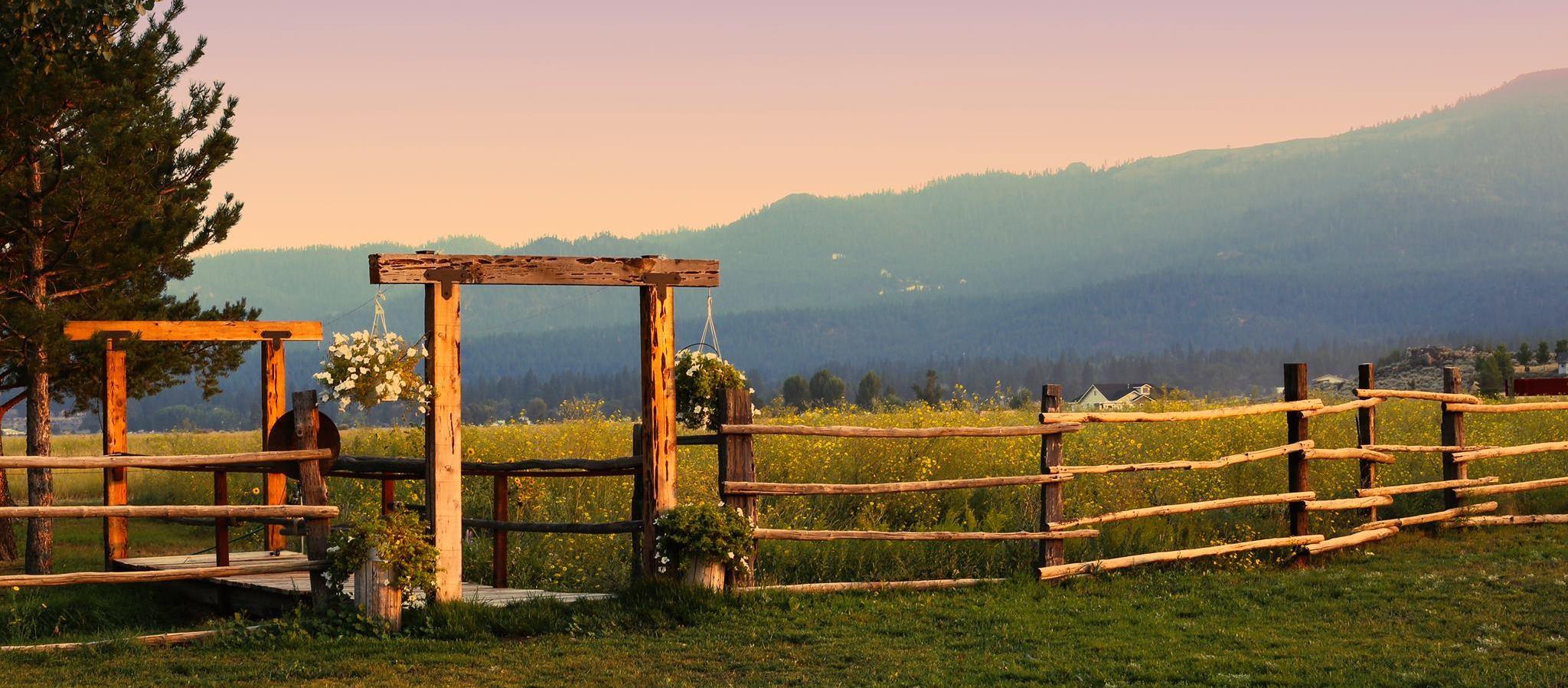 The Wedding Website of Joanna Fuentes and Dustin Thiels