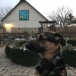 Meadowbrook Park
