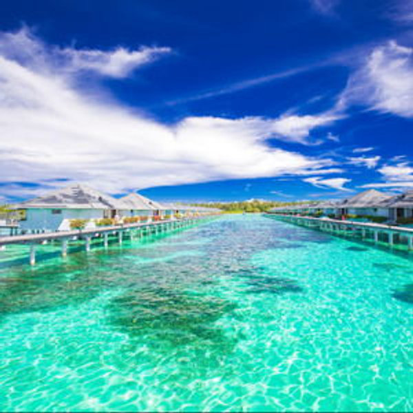 Our Dream Honeymoon